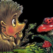 Схема вышивки «Ёжик»