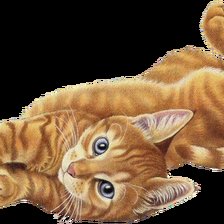 Схема вышивки «Котенок»