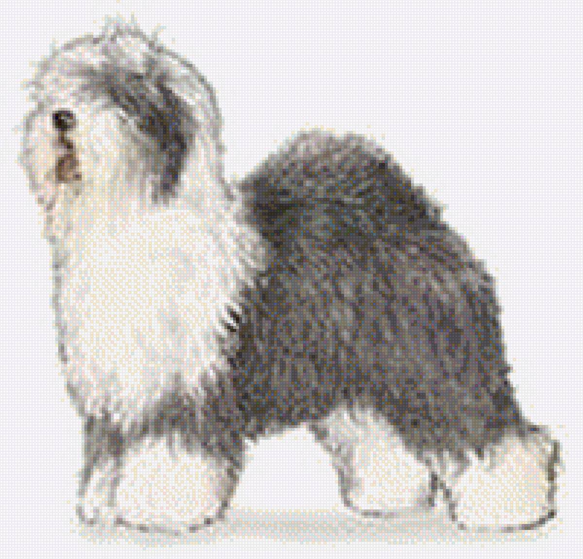 Бобтейль - бобтейль, домашние любимцы, порода, собака - предпросмотр