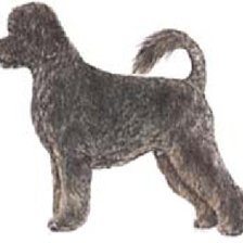 Схема вышивки «Пудель»