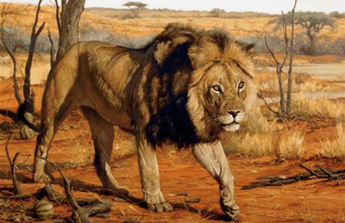 дикие - предпросмотр