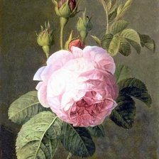 Схема вышивки «№2043656»