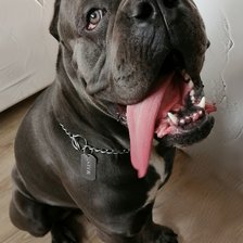 Схема вышивки «В ожидании обеда»