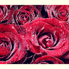 Схема вышивки «№2043966»