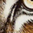 Предпросмотр схемы вышивки «№2043981»
