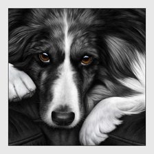 Схема вышивки «№2043986»