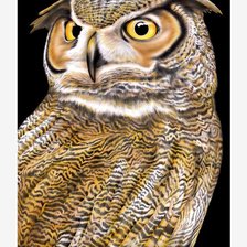 Схема вышивки «№2043988»