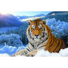 Схема вышивки «дикие»