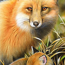 Схема вышивки «Рыжее семейство»