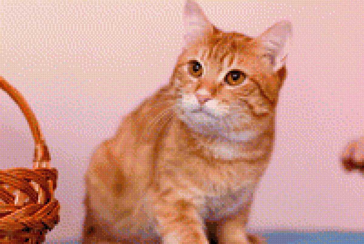 Рыжик - котенок, домашние любимцы - предпросмотр