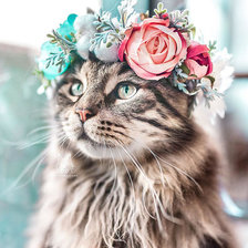 Схема вышивки «Кошка с веночком»