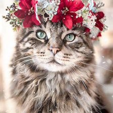 Схема вышивки «Кошка с веночком»