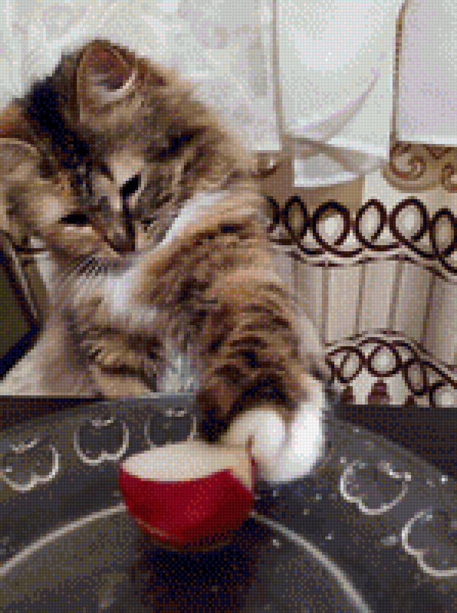 Котенок и редиска - редиска, котенок, домашние любимцы, фото - предпросмотр