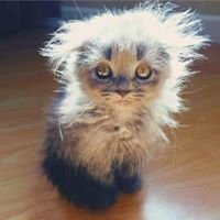 Схема вышивки «Нафаня»