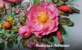 Шиповник - фото, цветок, шиповник, растение, куст, сад - оригинал