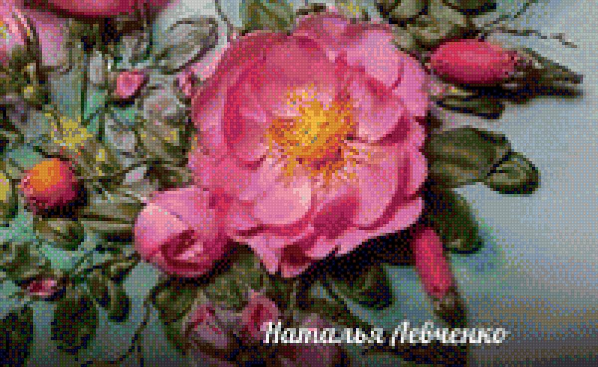 Шиповник - цветок, растение, куст, сад, шиповник, фото - предпросмотр