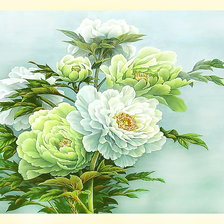 Схема вышивки «Серия "Цветы". Китайский пион»