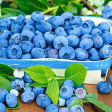 Схема вышивки «Голубика»