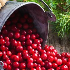 Схема вышивки «Клюква»