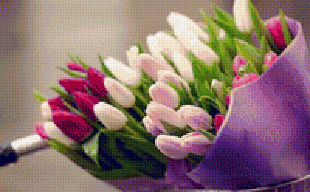 Тюльпаны - цветы, тюльпаны, растения - предпросмотр