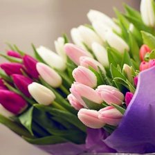 Схема вышивки «Тюльпаны»