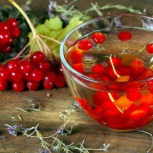 Схема вышивки «Калиновый чай»