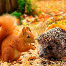 Схема вышивки «Белка и ёж»