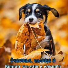 Схема вышивки «Пожелания»