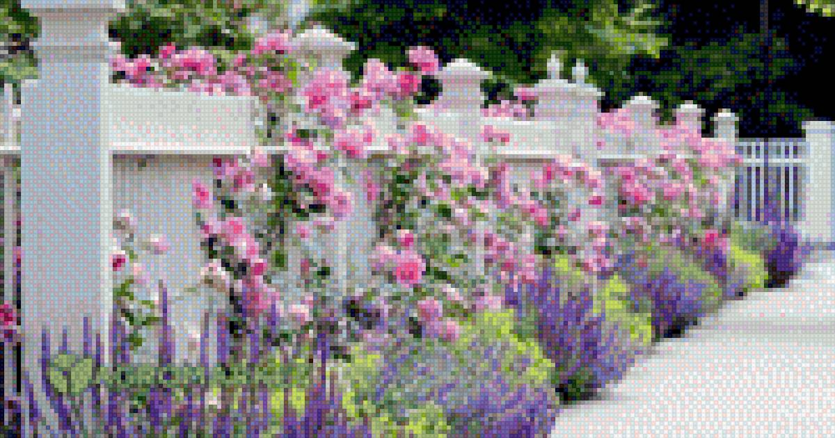 Цветочная аллея - аллея, изгородь, сад, растения, цветы - предпросмотр