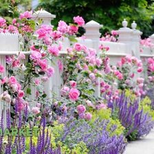 Схема вышивки «Цветочная аллея»