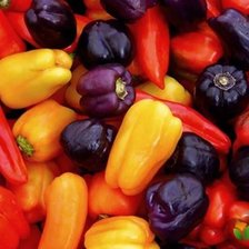 Схема вышивки «Перцы асорти»