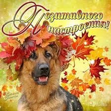 Схема вышивки «Позитивного настроения»