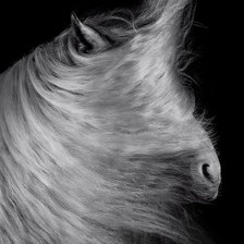 Схема вышивки «Грива коня»