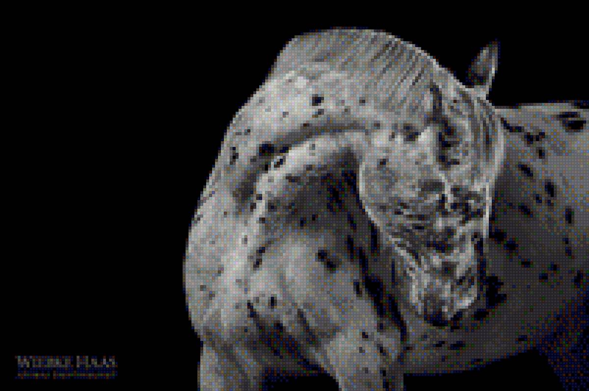 Конь в яблоках - лошади, животные, конь, картина - предпросмотр