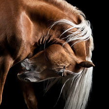 Схема вышивки «Поклон»