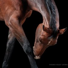 Схема вышивки «Поклон»
