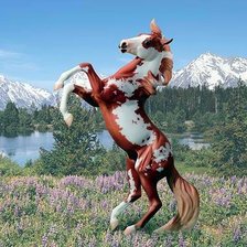 Схема вышивки «Паломино»