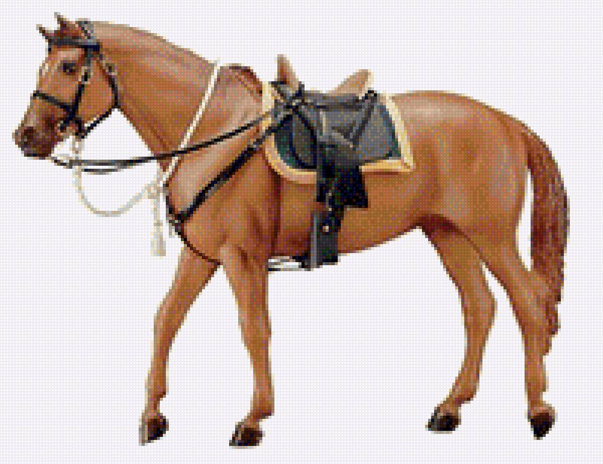 Конь - лошади, картина, животные, конь - предпросмотр