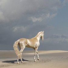 Схема вышивки «Конь»