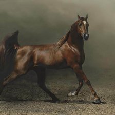 Схема вышивки «Конь»