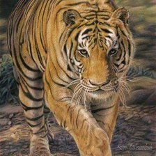 Схема вышивки «дикие»