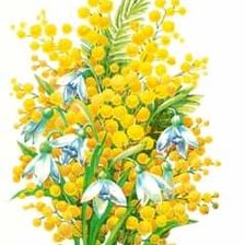 Схема вышивки «Мимозы»