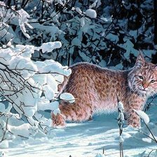 Схема вышивки «дикие»