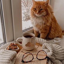 Схема вышивки «котик»