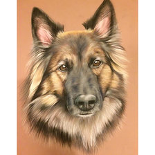 Схема вышивки «Собака.»