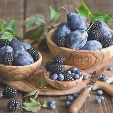 Схема вышивки «ежевика и сливы»