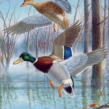 Схема вышивки «птицы»