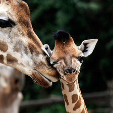 Схема вышивки «С мамой»