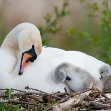 Схема вышивки «С мамой»