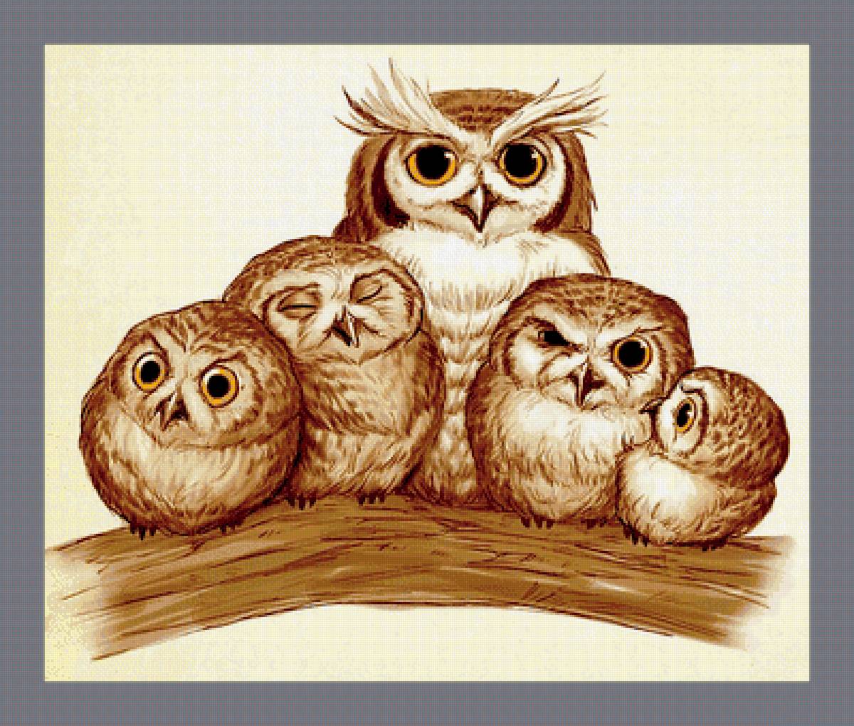 Серия "Птицы". Совушки - совы, фауна, птицы - предпросмотр